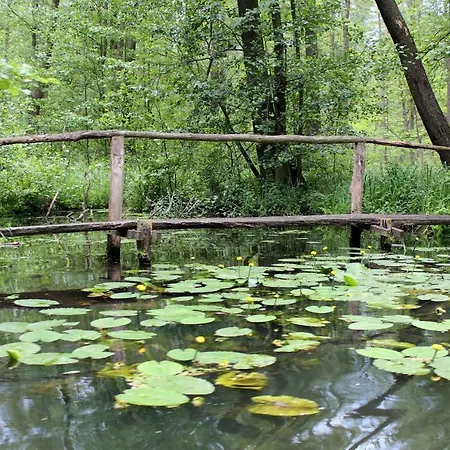 Appartement Spreewald Unterkuenfte à Briesensee Extérieur photo